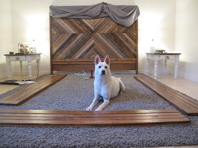 West Elm Inspired "Alexa" Bed: http://sharktails.ca/2016/06/06/west-elm-inspired-alexa-bed/