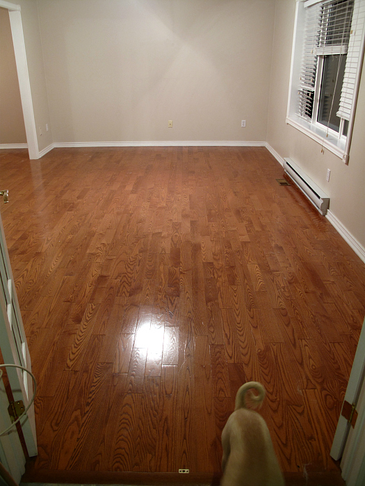 How I Refinished Our Hardwood Floors: http://sharktails.ca/2016/07/10/refinish-hardwood-floors/