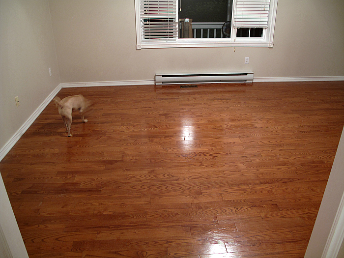How I Refinished Our Hardwood Floors: http://sharktails.ca/2016/07/10/refinish-hardwood-floors/