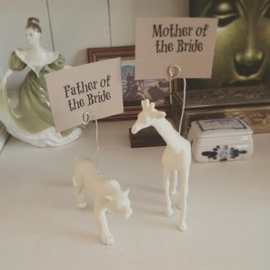 Our DIY East Coast Wedding: http://sharktails.ca/wedding-101/