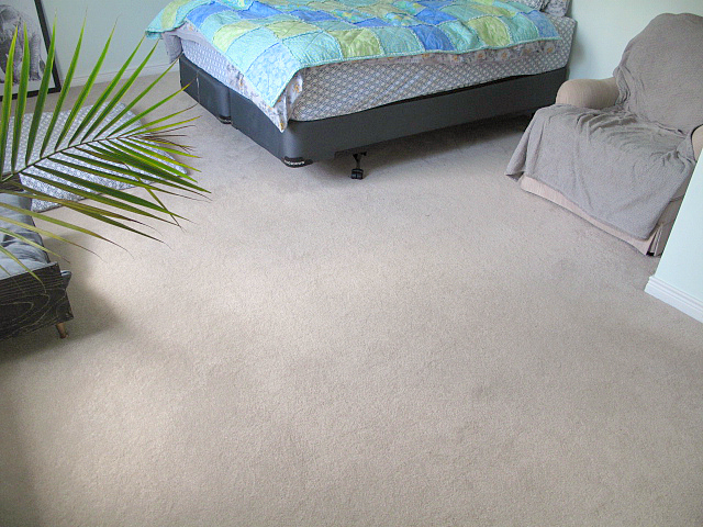 A Newbie's Guide to Plywood Plank Flooring: http://sharktails.ca/2016/04/22/newbies-guide-plywood-plank-flooring-part-1-prepping-laying-boards