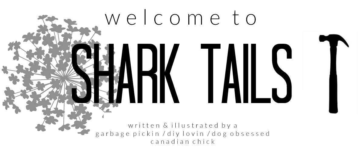 http://sharktails.ca/