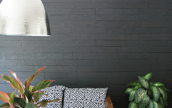 Fake it ‘Til You Make it: Black Ship-Lap Wall Using Plywood
